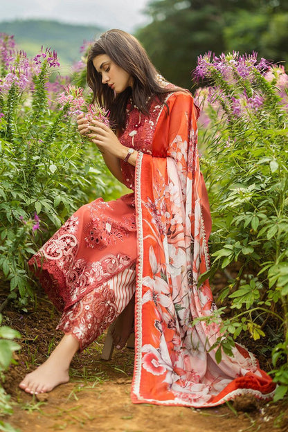 MUSHQ | Winter Collection 2025 – Dhanak 793