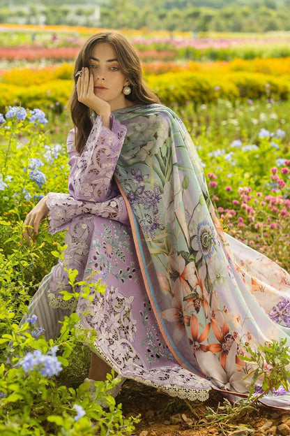 Mushq 786 | Luxury Dhanak with Twill Shawl