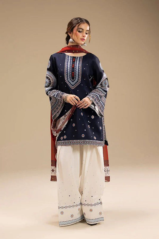 SAPPHIRE – Dhanak Hit Codes Winter Luxury Embroidered 2025