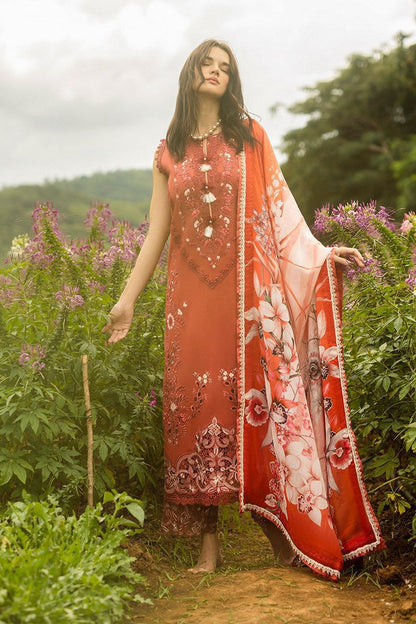 MUSHQ | Winter Collection 2025 – Dhanak 793