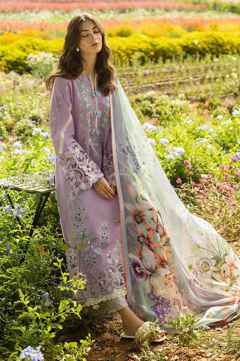 Mushq 786 | Luxury Dhanak with Twill Shawl
